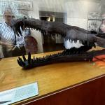 2023OTRA_741 (May 07, 2023)